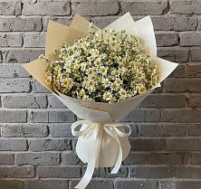Букет цветов из:  Ромашки в Мантурове Курской области