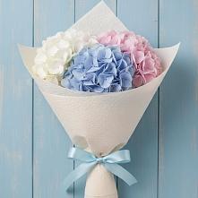Букет цветов из:  Гортензия в Мантурове Курской области