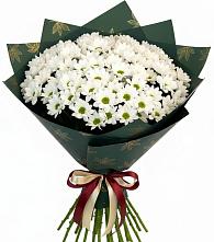 Букет цветов из:  Хризантемы #REPLACE_PRED# Мантурове Курской области