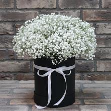 Цветочная композиция из Гипсофила в шляпной коробке в Мантурове Курской области