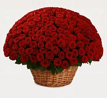 Премиум букет из: Розы в Мантурове Курской области