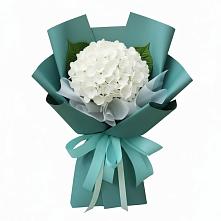 Букет цветов из:  Гортензия в Мантурове Курской области